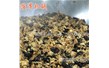 大型炒菜機(jī)什么加熱方式好多少錢